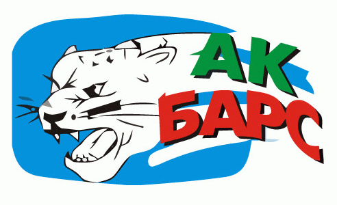 Ak Bars Kazan 2008-Pres Primary logo iron on heat transfer